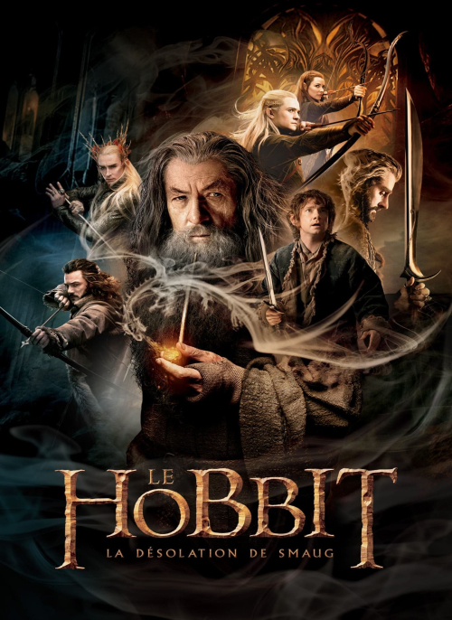 Affiche du film