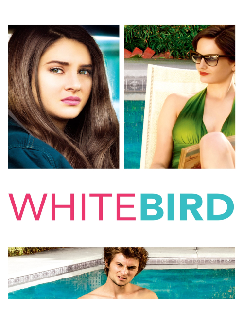 Affiche du film