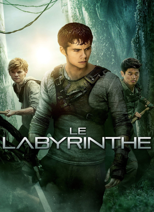 Affiche du film