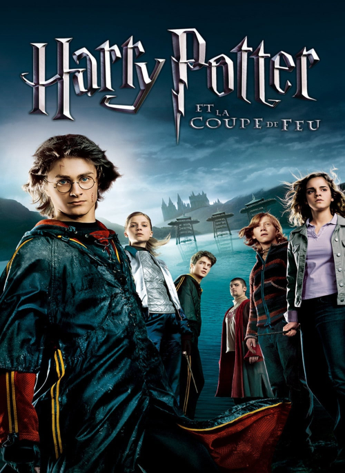 Affiche du film