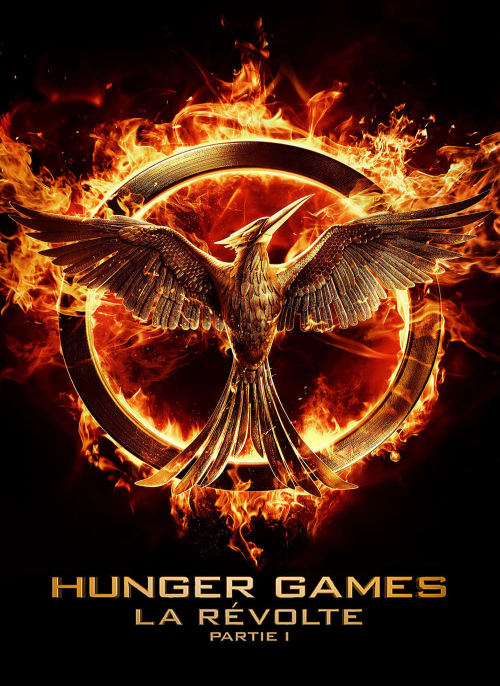 Affiche du film