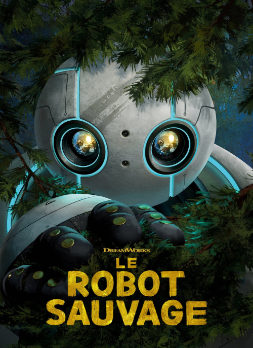 Affiche du film