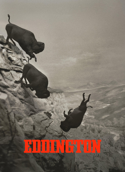 Affiche du film