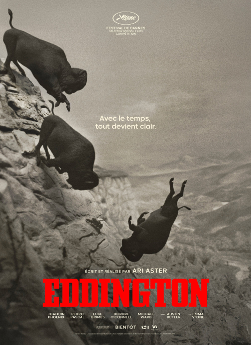 Affiche du film