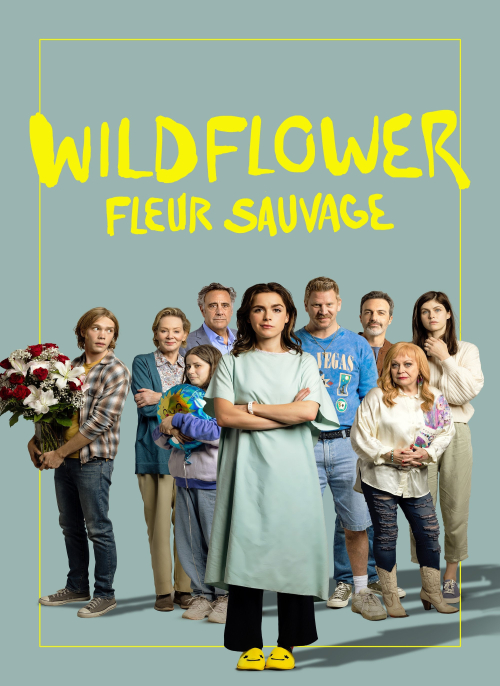 Affiche du film