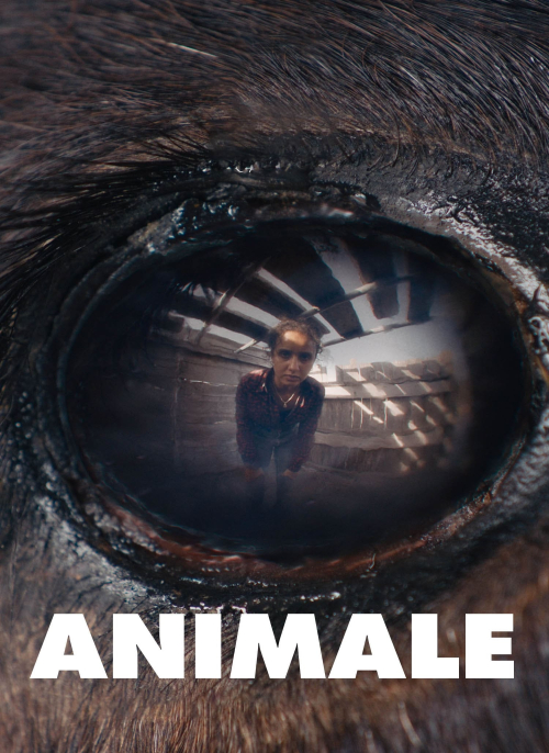 Affiche du film