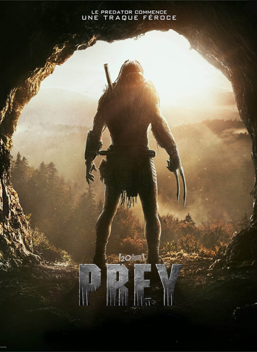 Affiche du film
