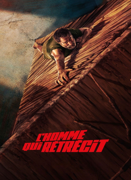 Affiche du film