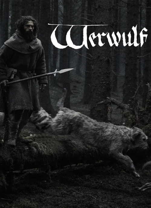 Affiche du film