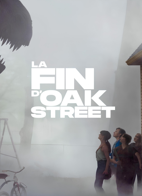 Affiche du film