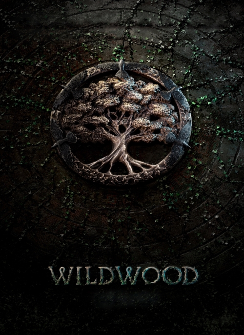 Affiche du film
