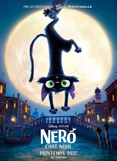 Affiche du film