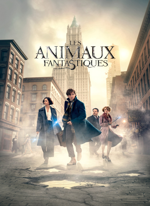 Affiche du film