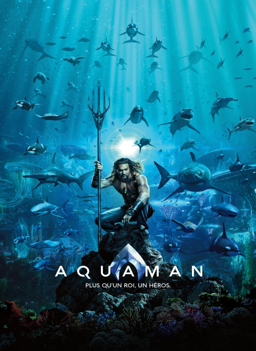 Affiche du film