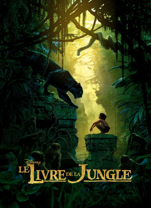 Affiche du film