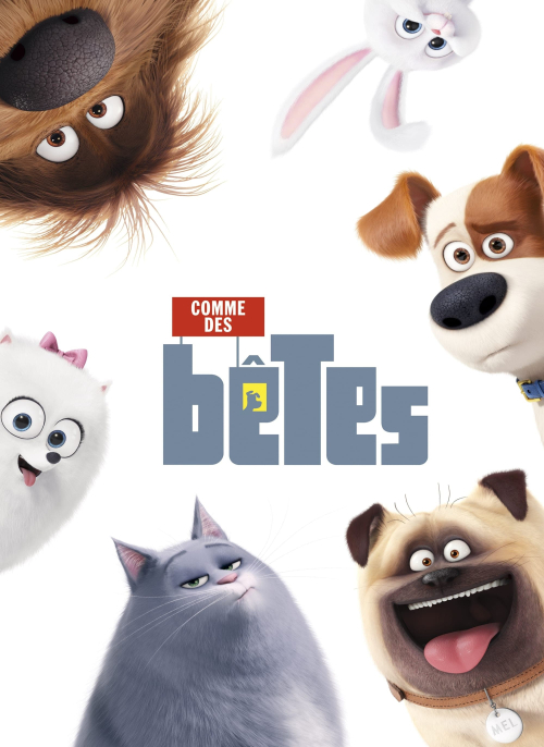 Affiche du film
