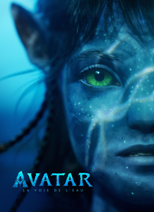 Affiche du film