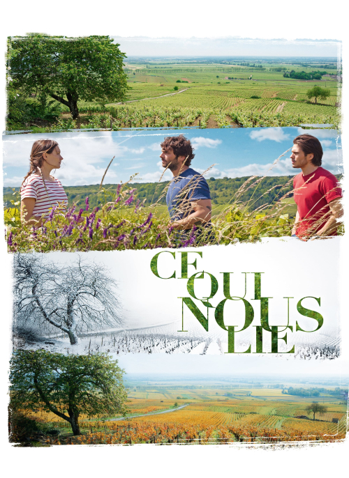 Affiche du film