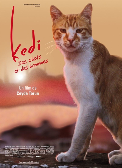 Affiche du film