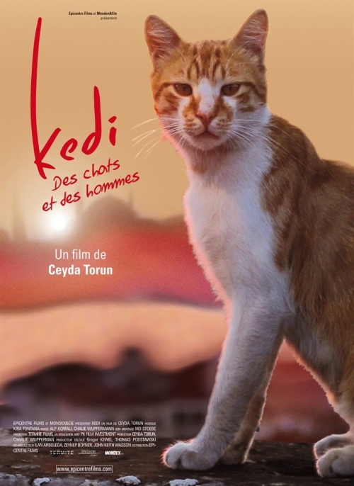 Affiche du film