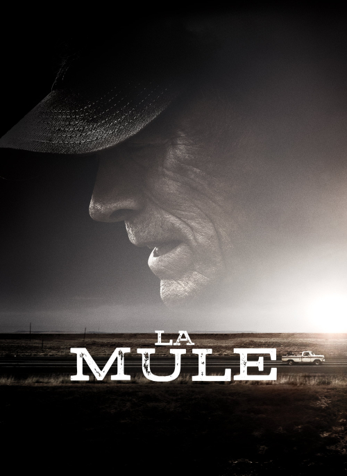 Affiche du film