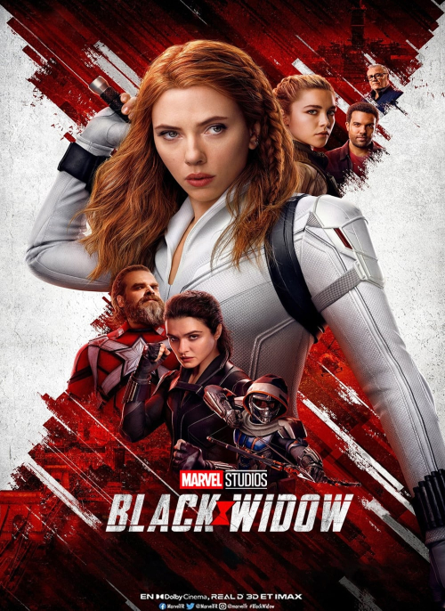 Affiche du film