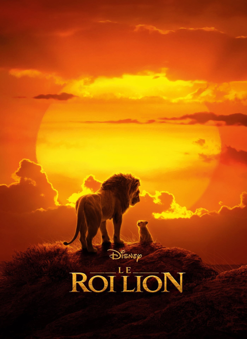Affiche du film