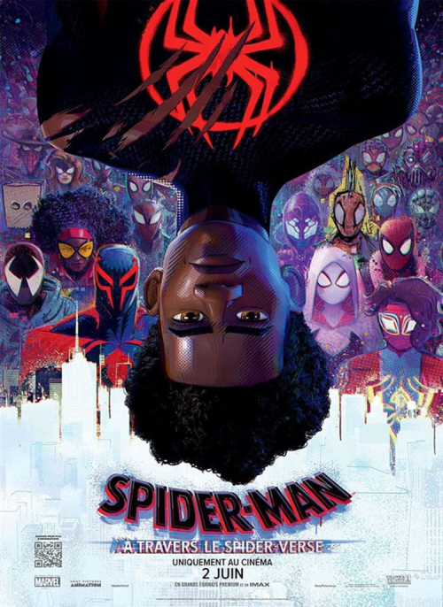 Affiche du film