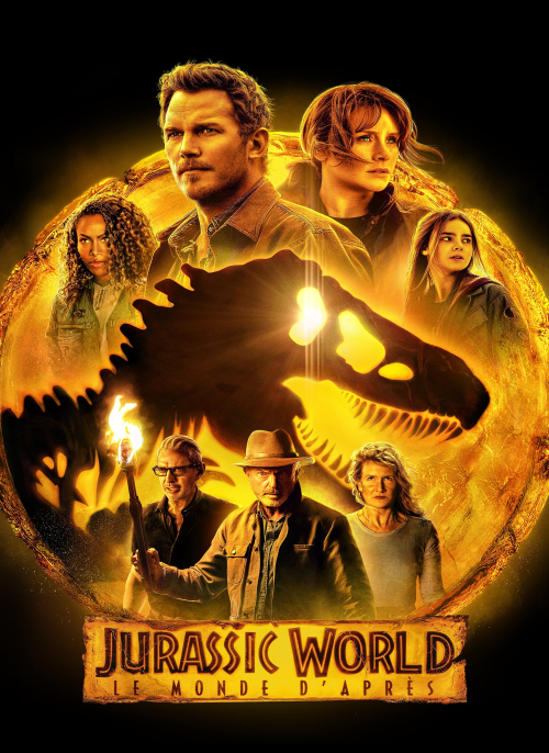 Affiche du film