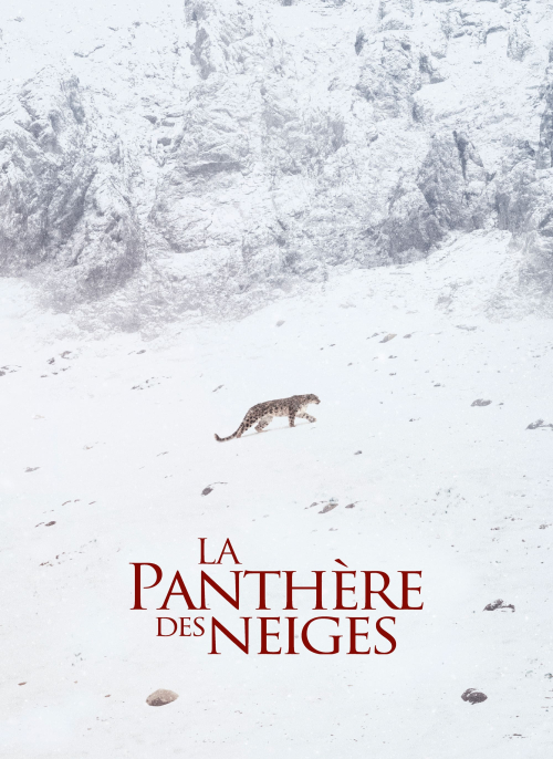 Affiche du film