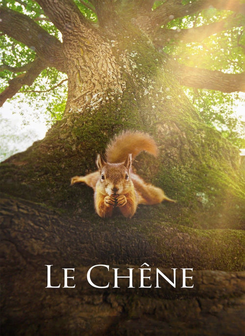 Affiche du film