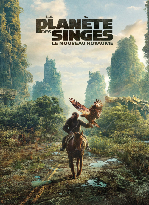 Affiche du film